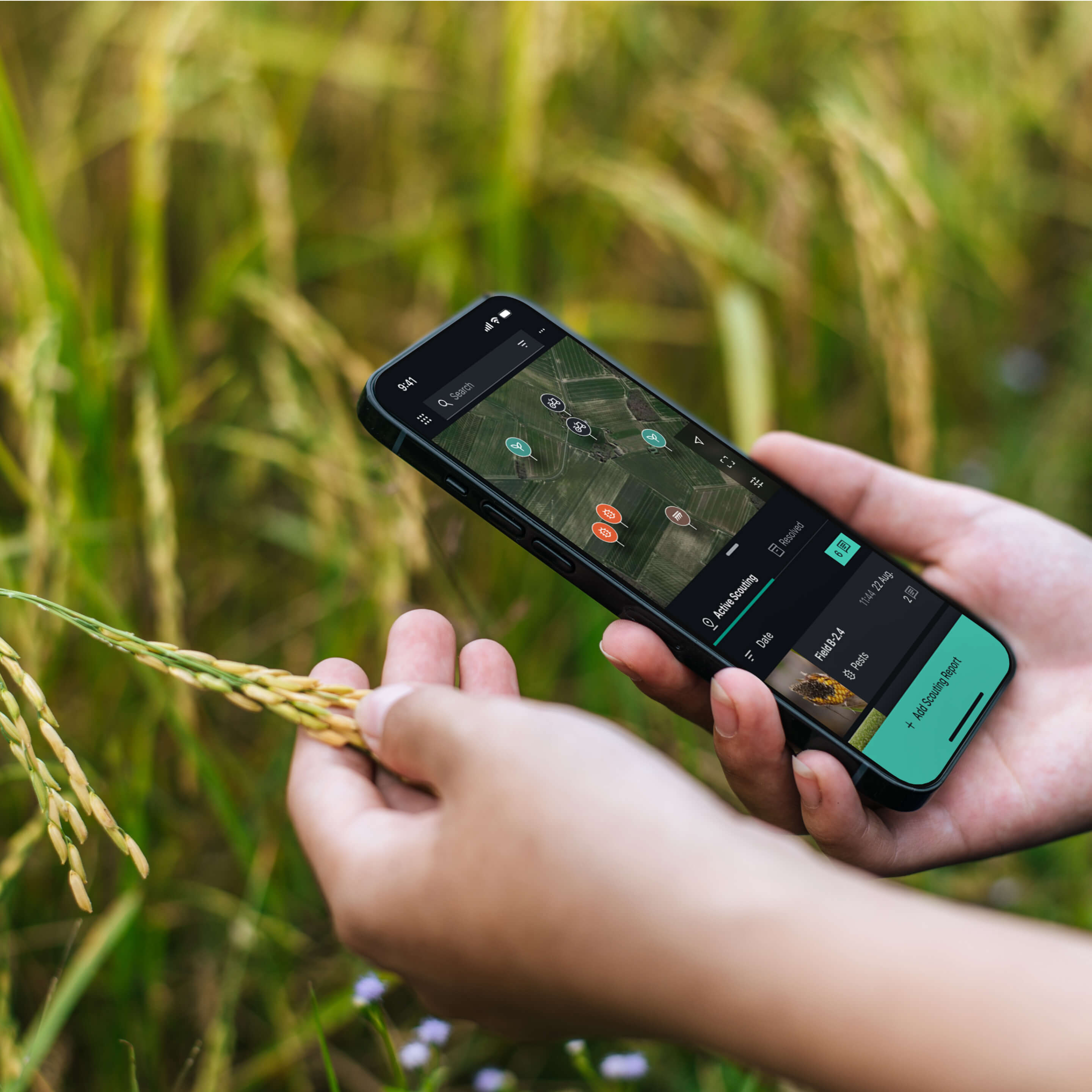 Photo of an individual using the Fieldwise app to log scouting reports while on the move.