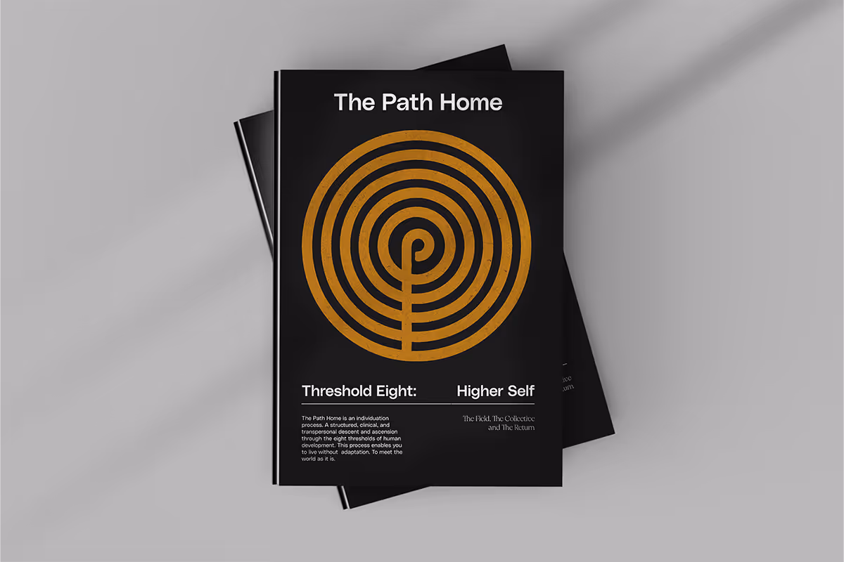 Book titled The Path Home with a golden circular maze pattern on a black cover.
