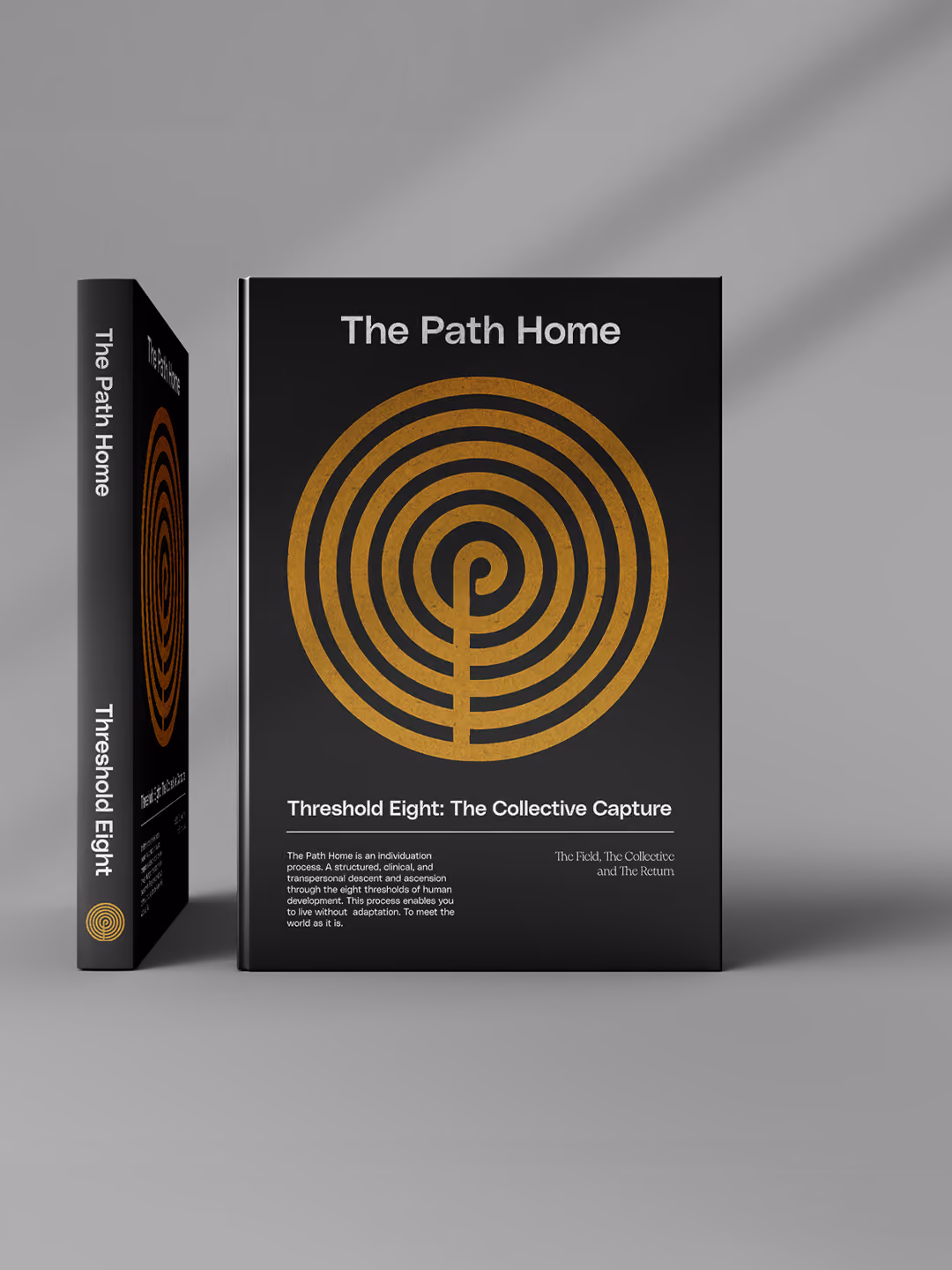 Book titled The Path Home with golden labyrinth design and subtitle Threshold Eight: Higher Self.