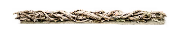 This is a graphical div used on character cards in the example game.