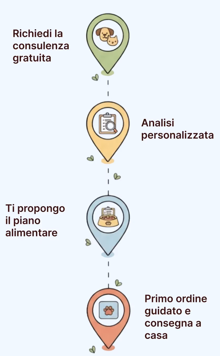 Four-step process for pet nutrition: green marker with dog and cat icons labeled 'Richiedi la consulenza gratuita', yellow marker with clipboard and magnifying glass labeled 'Analisi personalizzata', blue marker with pet food bowl and clipboard labeled 'Ti propongo il piano alimentare', red marker with paw print labeled 'Primo ordine guidato e consegna a casa'.