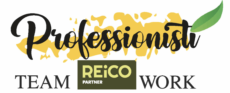 Logo with the word 'Professionist' in black script over a yellow paint splash, a green leaf on the right, and the words 'TEAM', 'PARTNER Reico Vital-Systeme', and 'WORK' below.