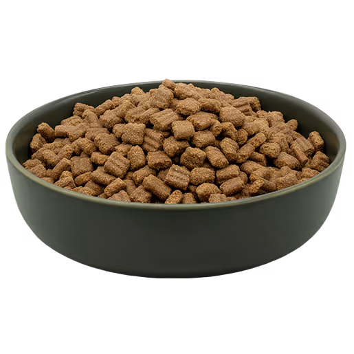 Green bowl filled with small, brown dry pet food kibbles.