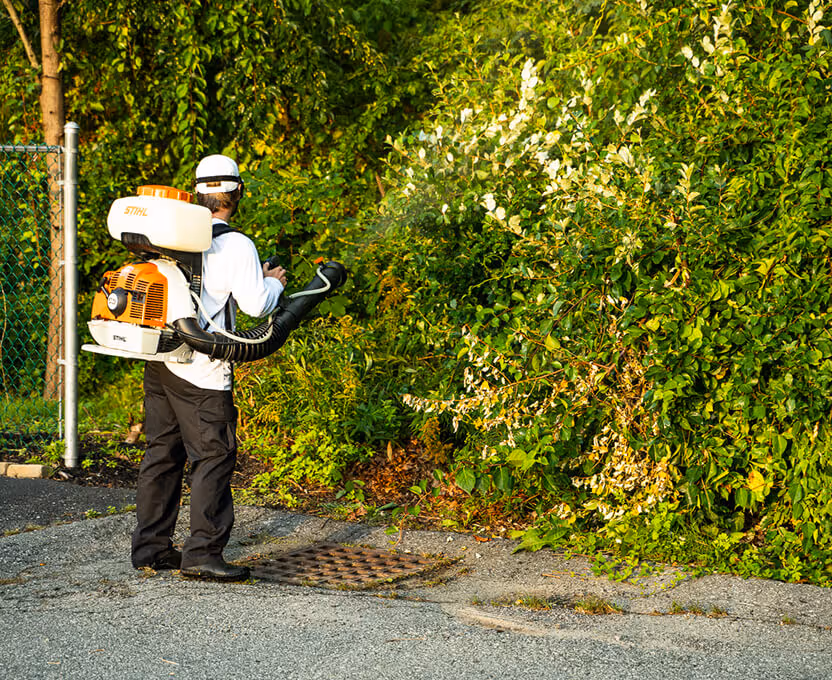 Person wearing protective gear using a backpack leaf blower to clear overgrown bushes near a chain-link fence.