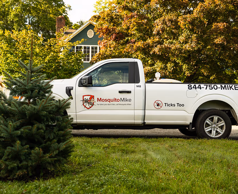 White Mosquito Mike pest control truck parked on a street with trees and a house in the background.