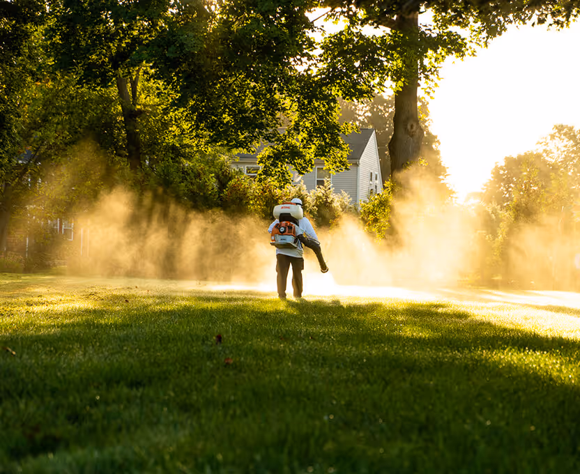 Person using a backpack leaf blower to clear dust or debris on a grassy area near trees and houses at sunset.