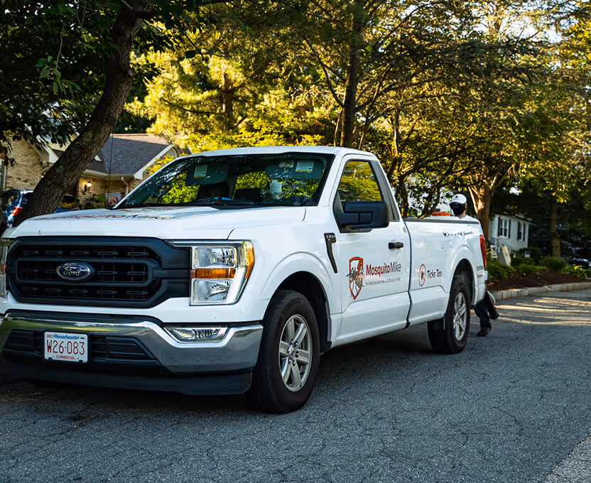 White Mosquito Joe branded pickup truck parked on a residential street with trees and houses in the background.