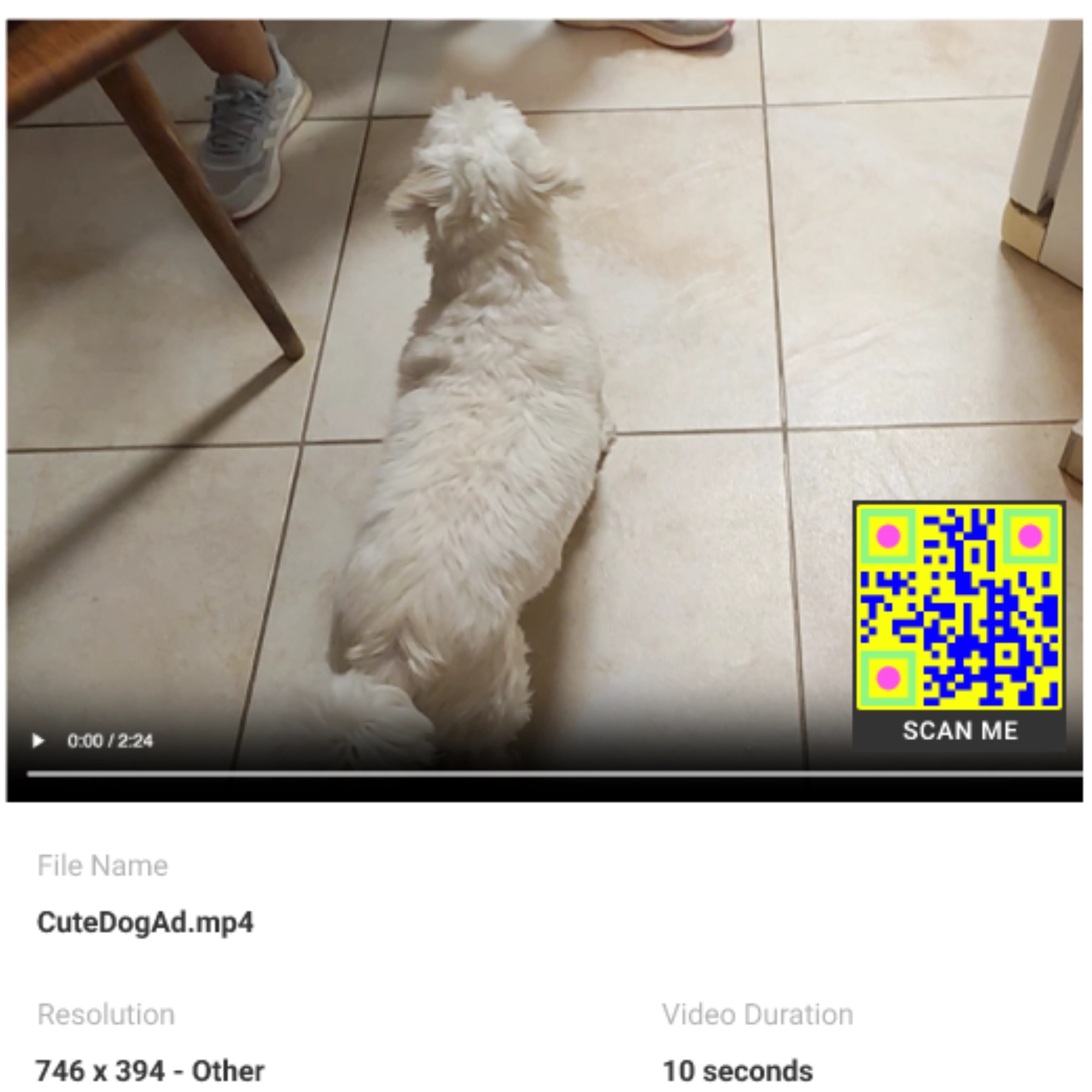 White fluffy dog lying on tiled floor near a person's feet wearing gray sneakers.