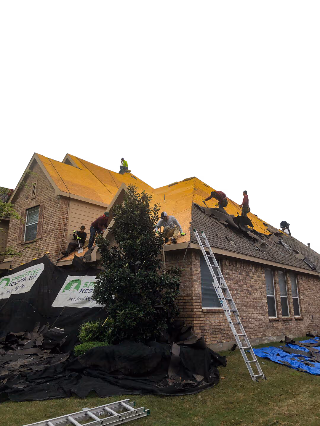 Workers removing old shingles and installing plywood on a house roof during a roofing restoration project.