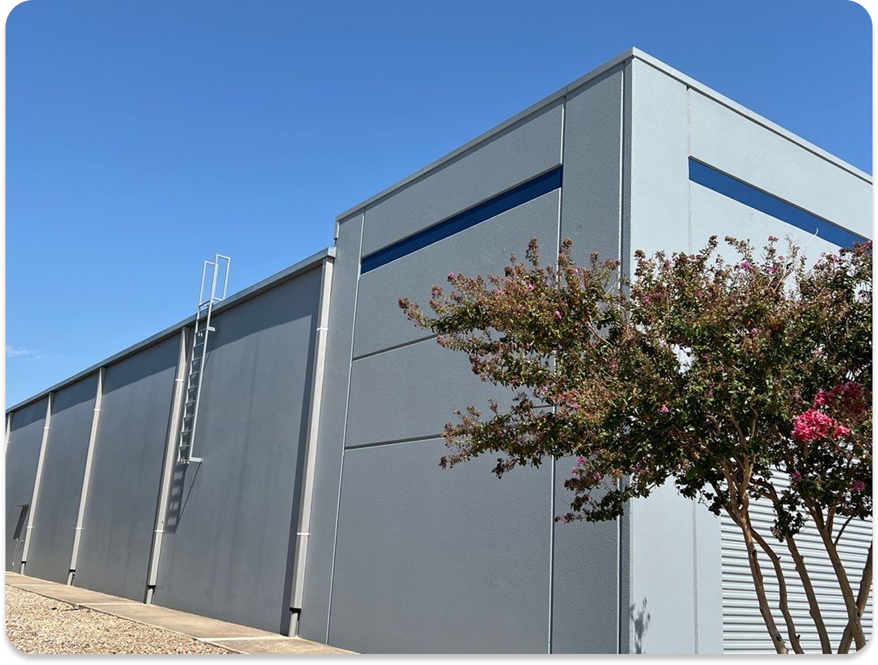 Exterior corner of a grey industrial building with a metal ladder and a tree with pink flowers in front under a clear blue sky.