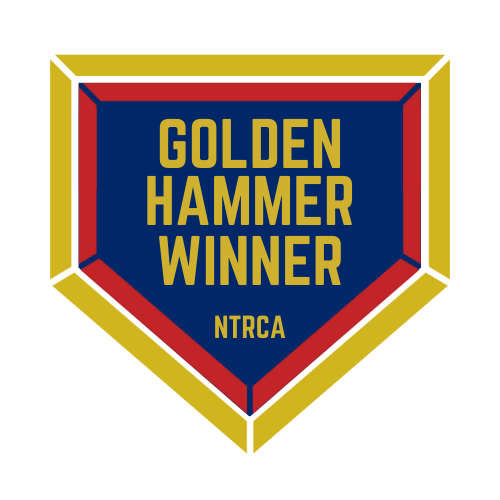Golden Hammer Award