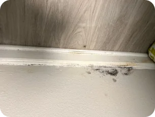 Close-up of a wall corner with black mold spots near the ceiling trim and wood paneling above.