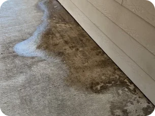 Wet concrete floor with darker water stains next to a beige wooden wall.