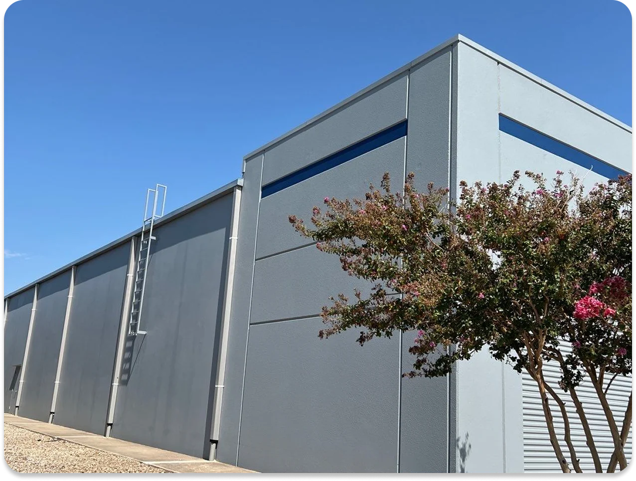 Exterior corner of a grey industrial building with a metal ladder and a tree with pink flowers in front under a clear blue sky.
