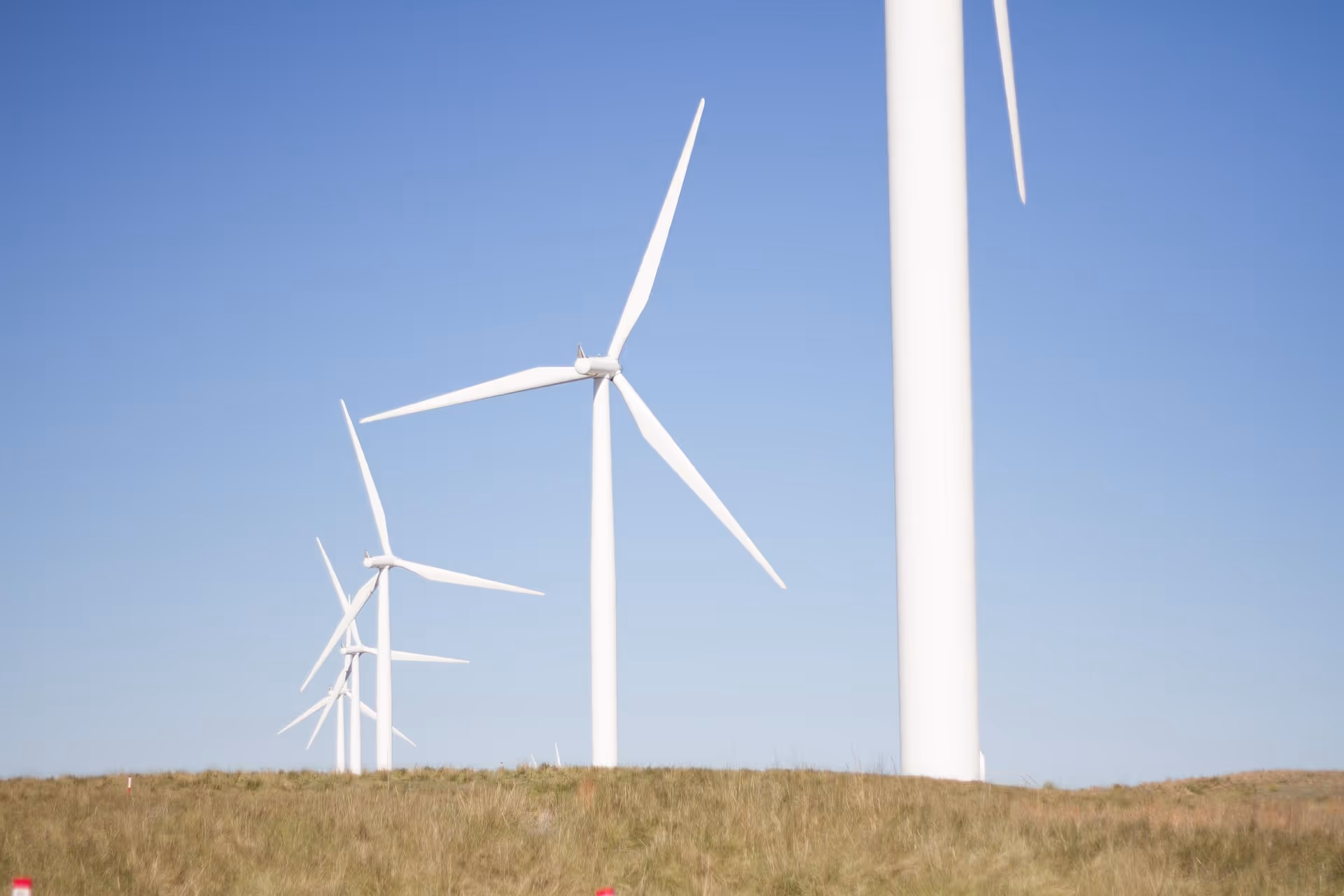 Row of white wind turbines in a grassy field under a clear blue sky.