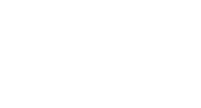 valantic Logo