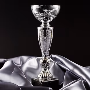 Web Excellence Awards