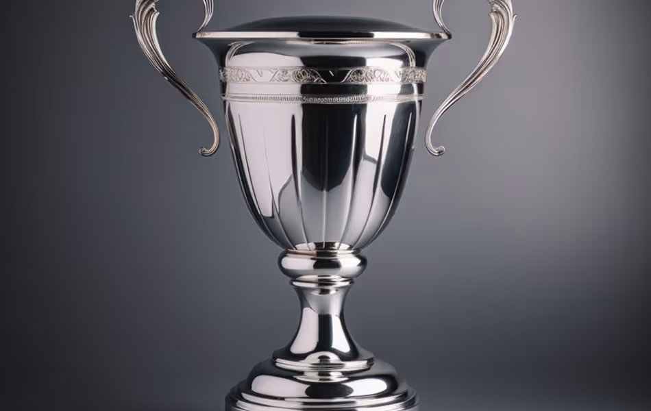 Webby Awards – Visual Design Nominee