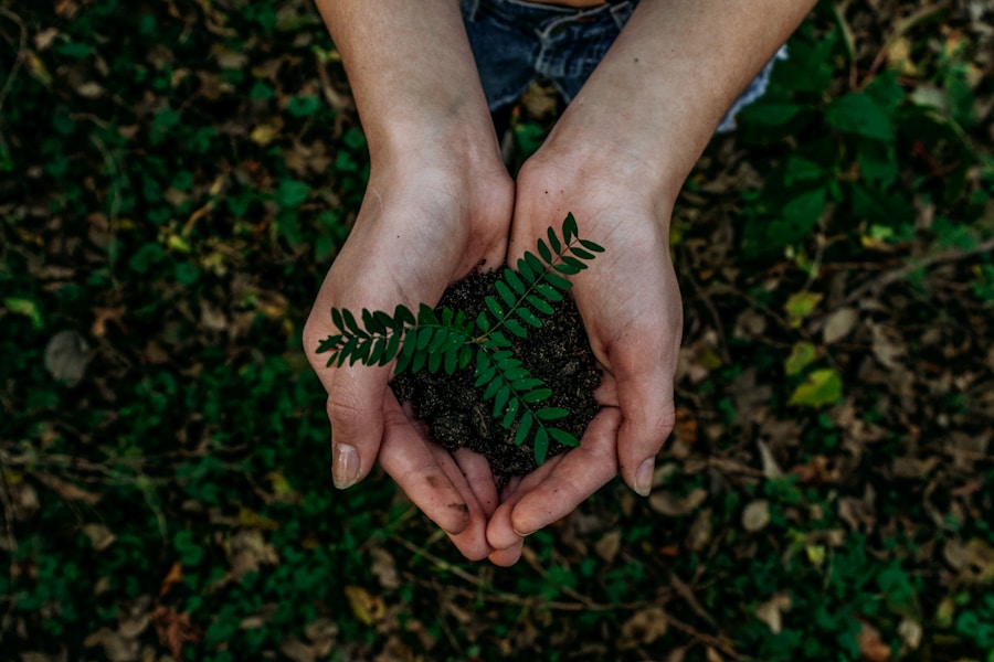 The ESG Maturity Curve: Where Does Your Business Stand?