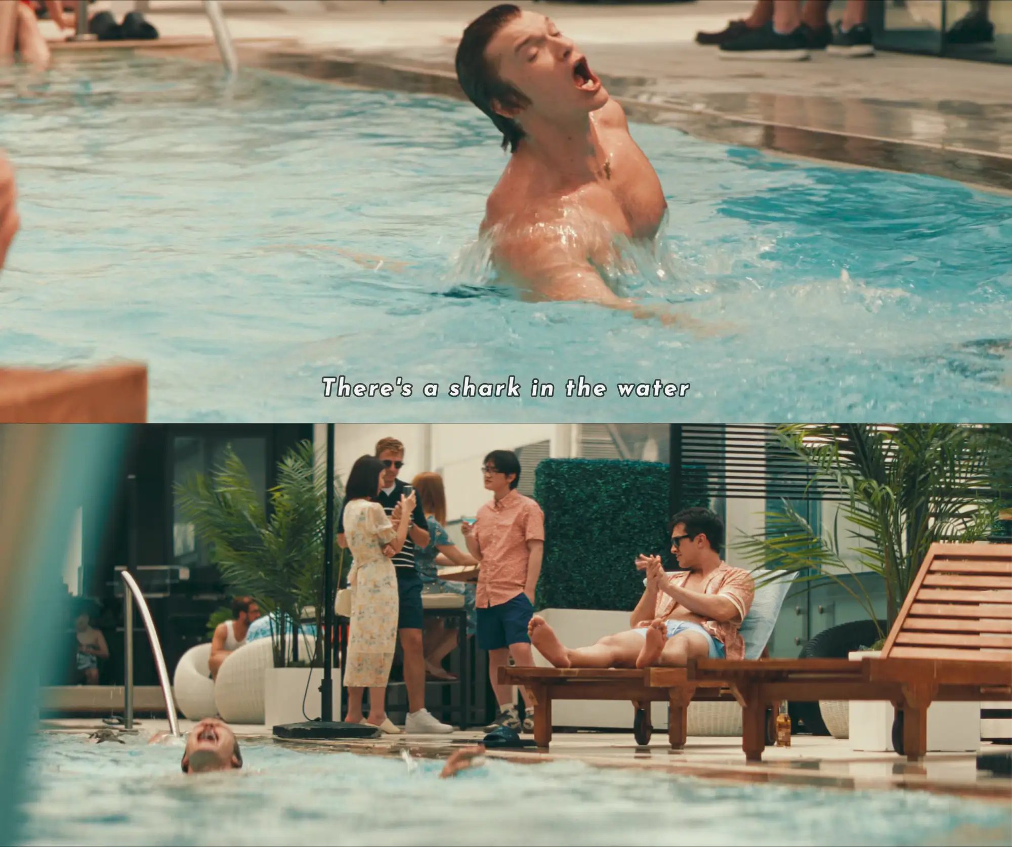 theres-a-shark-in-the-water