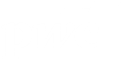 PwC Logo Whote