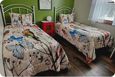 Bedroom with two white metal twin beds featuring butterfly and floral patterned bedding, green accent wall, red nightstand with a white spherical lamp, and window with white curtains.