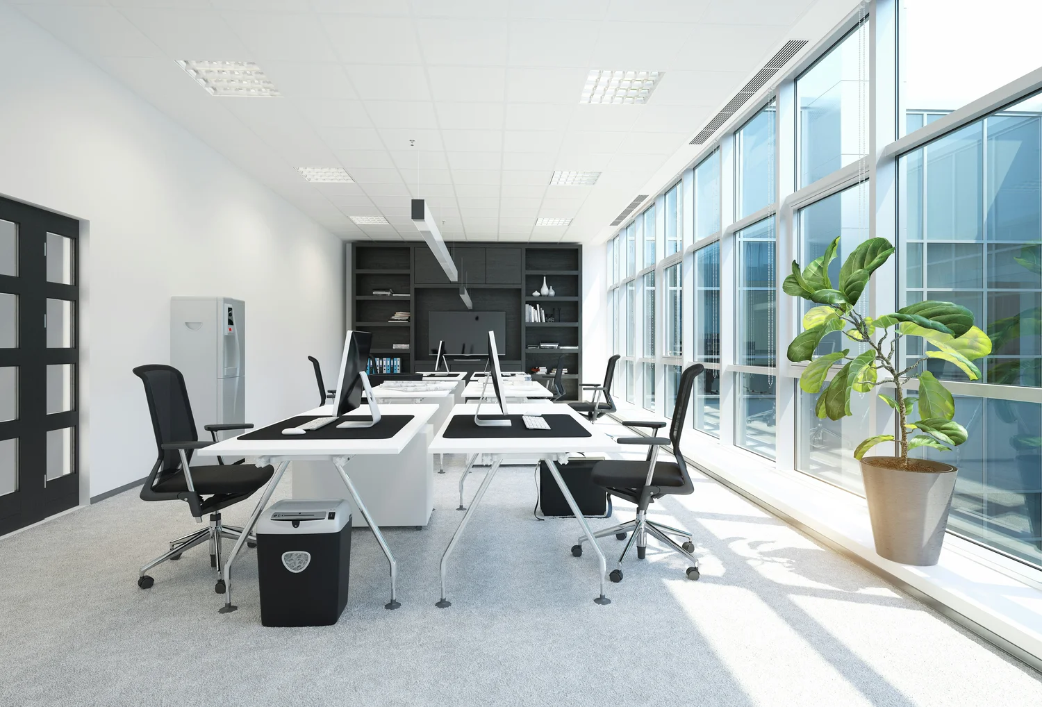 Bright modern office with white desks, black office chairs, computers, large windows, and a potted plant near the window.