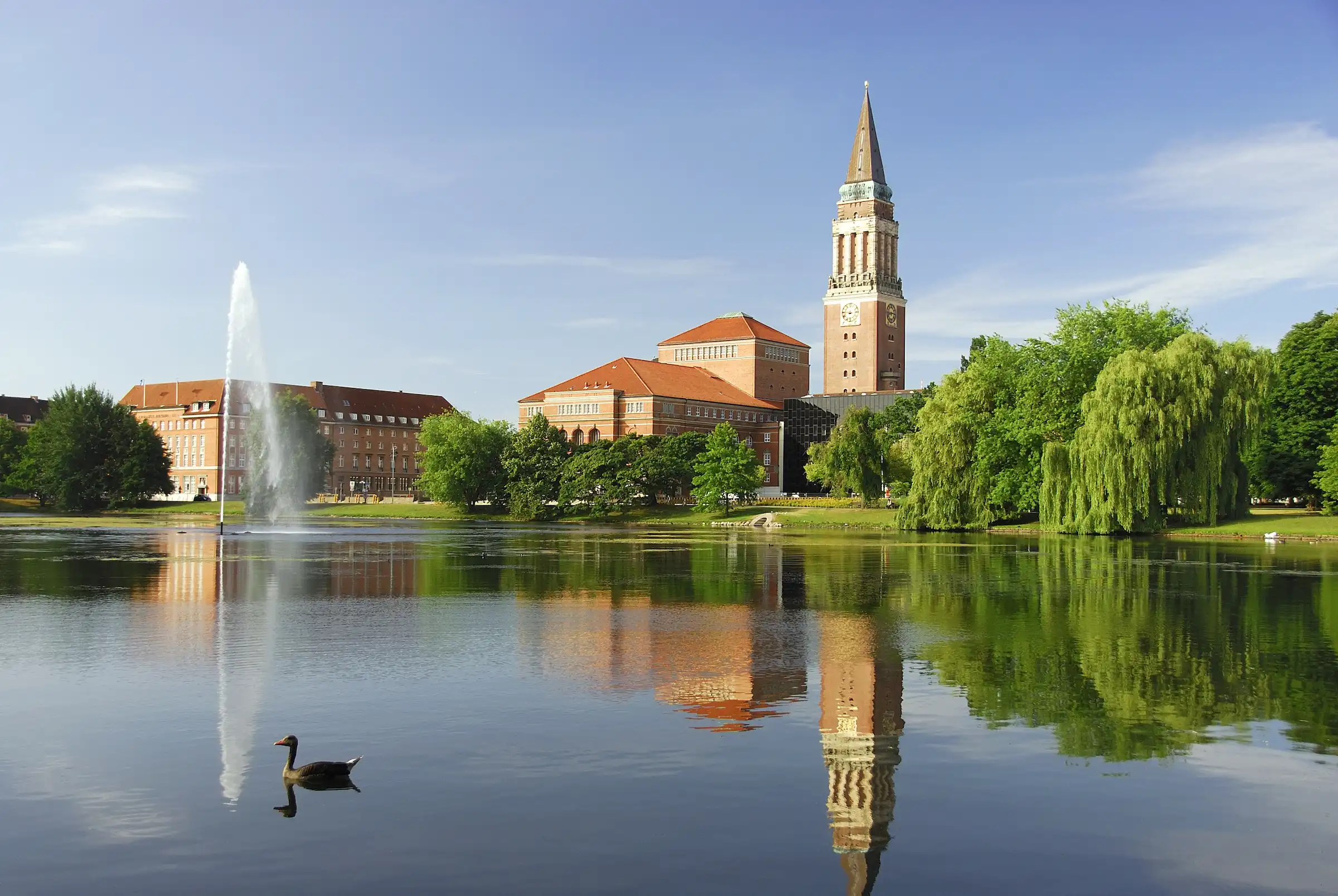 Büroauflösung & Büromöbelankauf Kiel