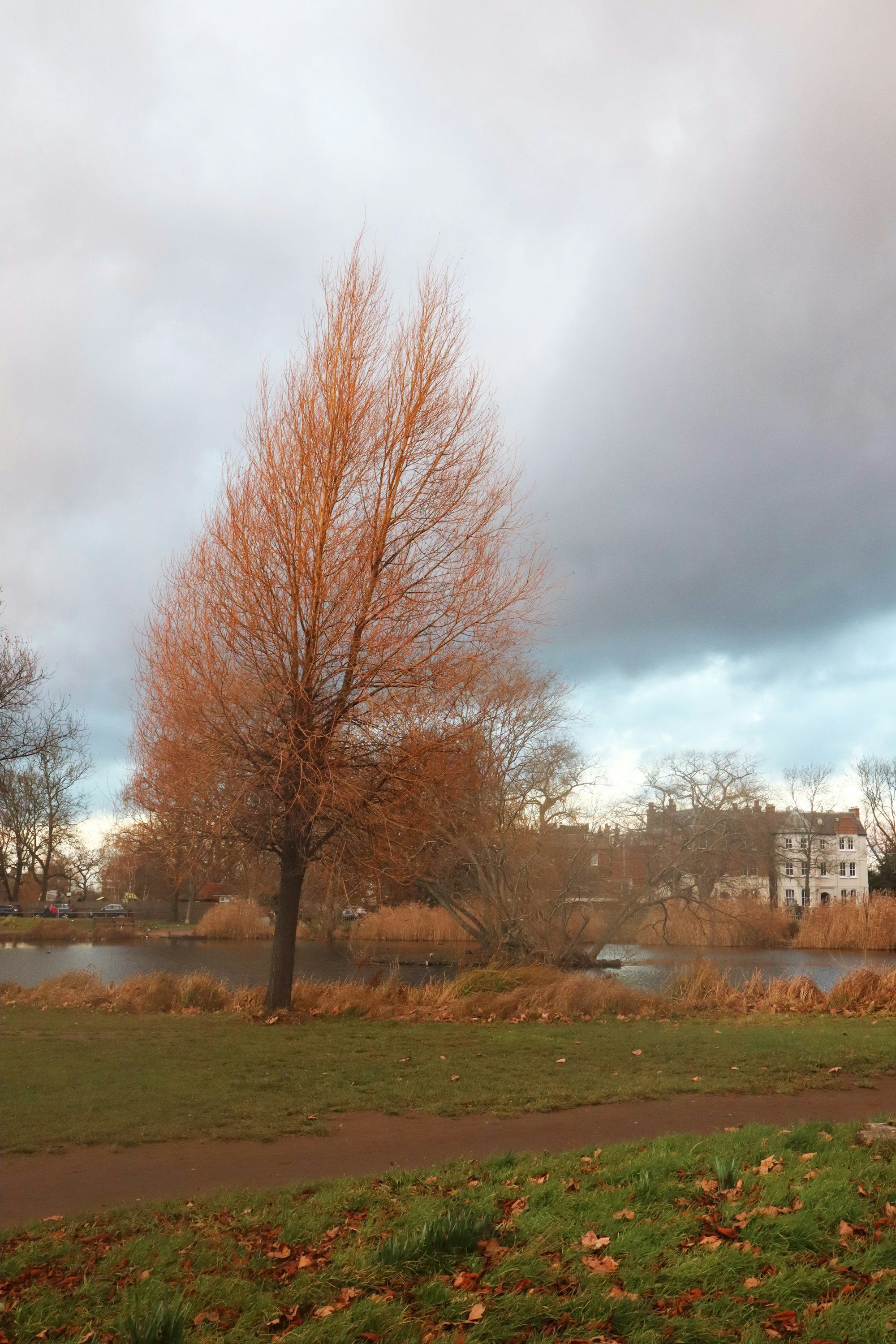 The green at Parsons Green with The White Horse