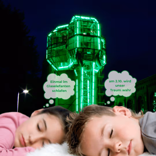 Übernachtung im Glaselefanten - für Nachtschwärmer