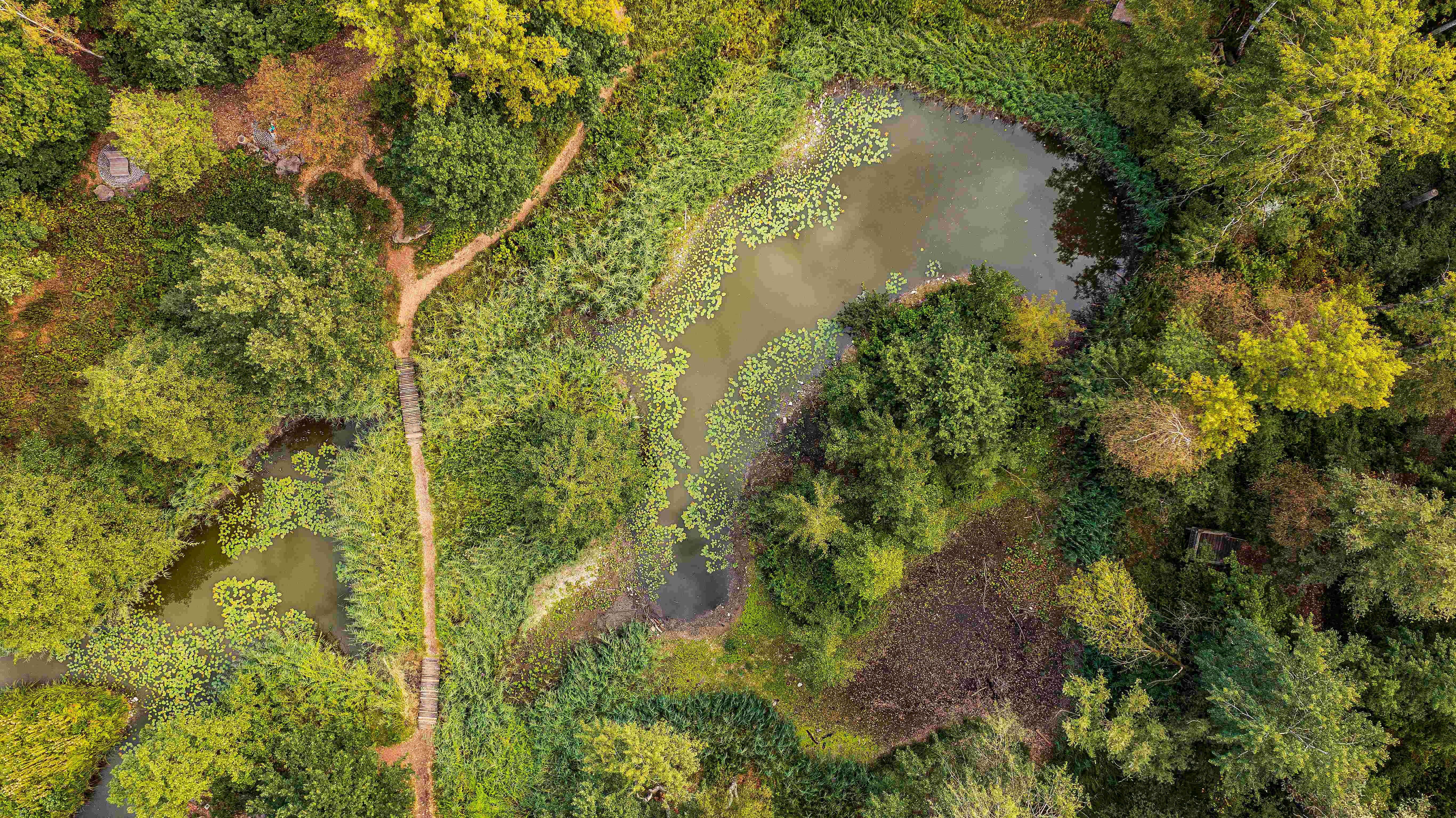 Foto-Workshop - Naturfotografie & „Wertvolles Wasser“