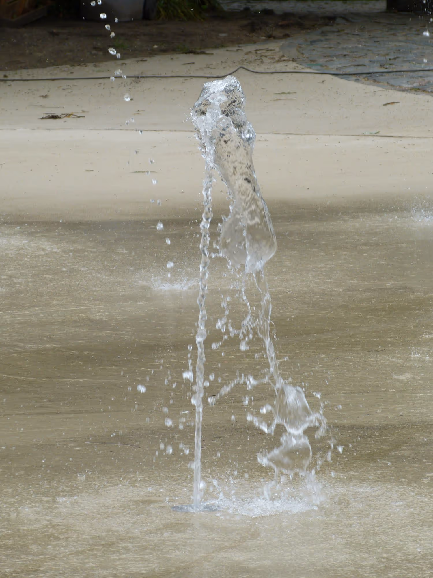 Gartendialog im Grünen: „Sommer, Sonne, (keine) Gießkanne?“ (BNE)