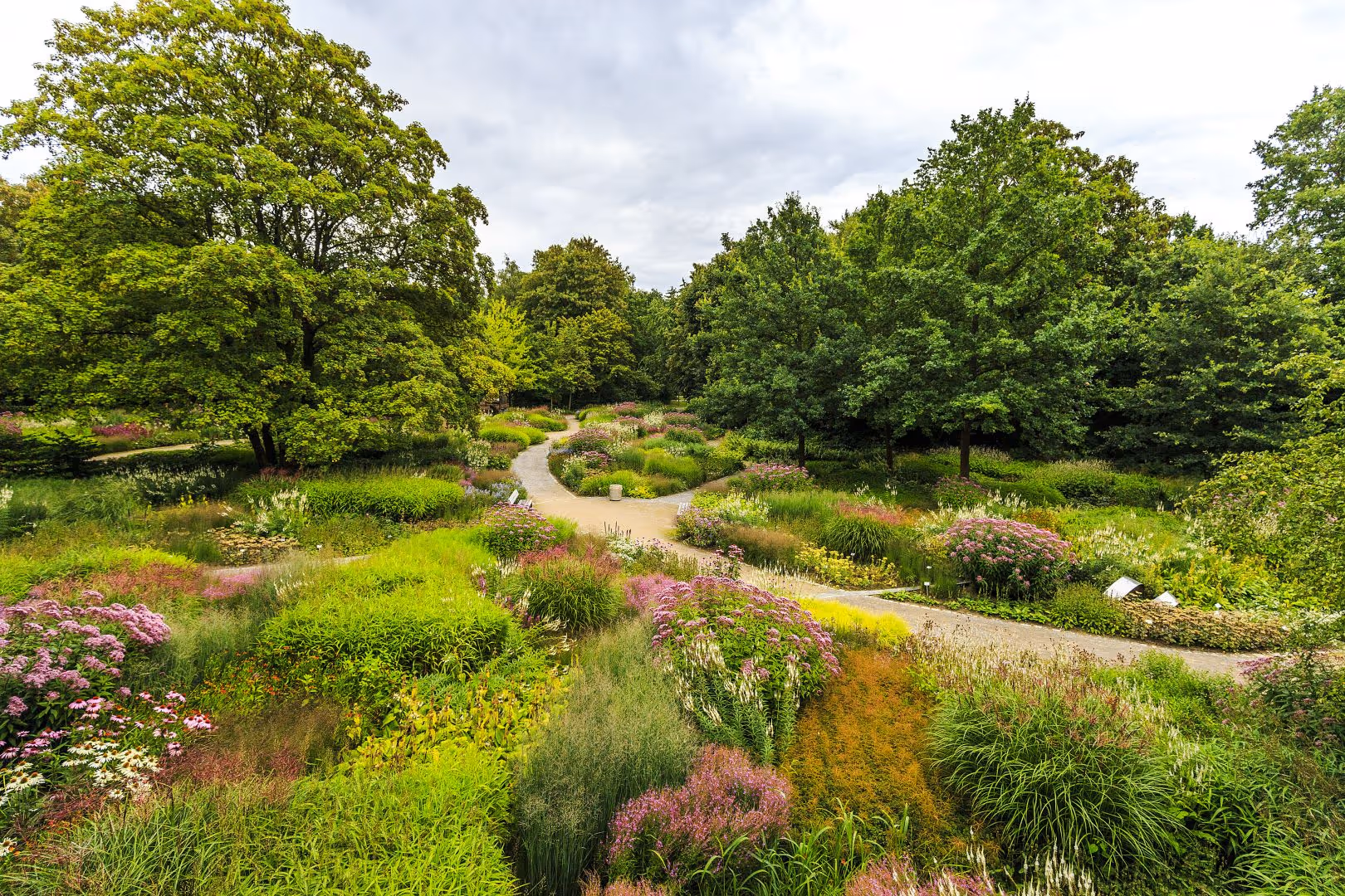 Workshop Gartenfotografie mit Sylvia Knittel