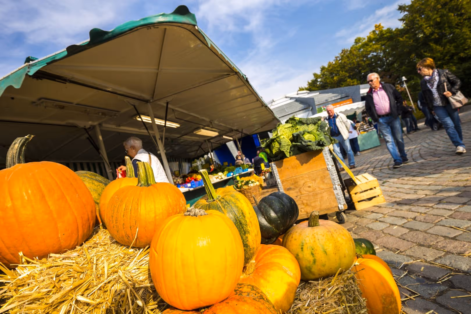 Herbstmarkt Land & Leute