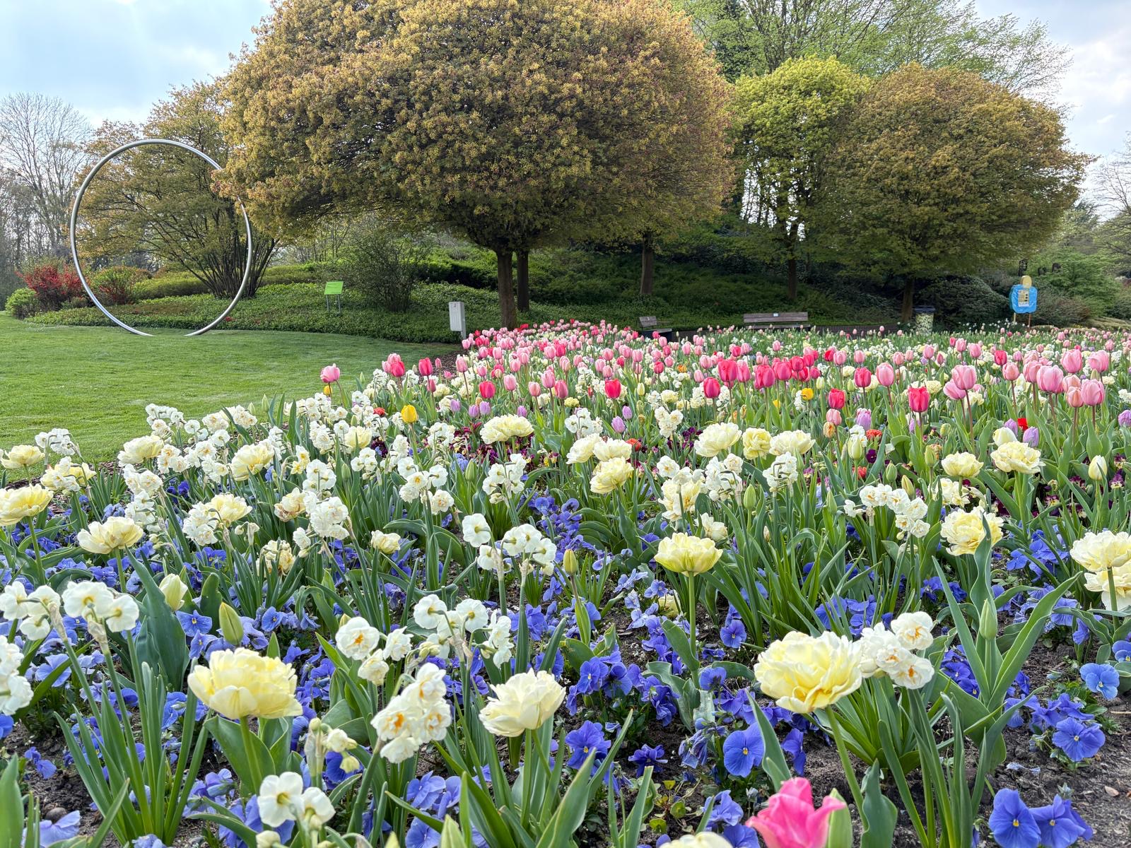 Der Maxipark blüht auf |  unvergleichlich farbgewaltige Blütenvielfalt