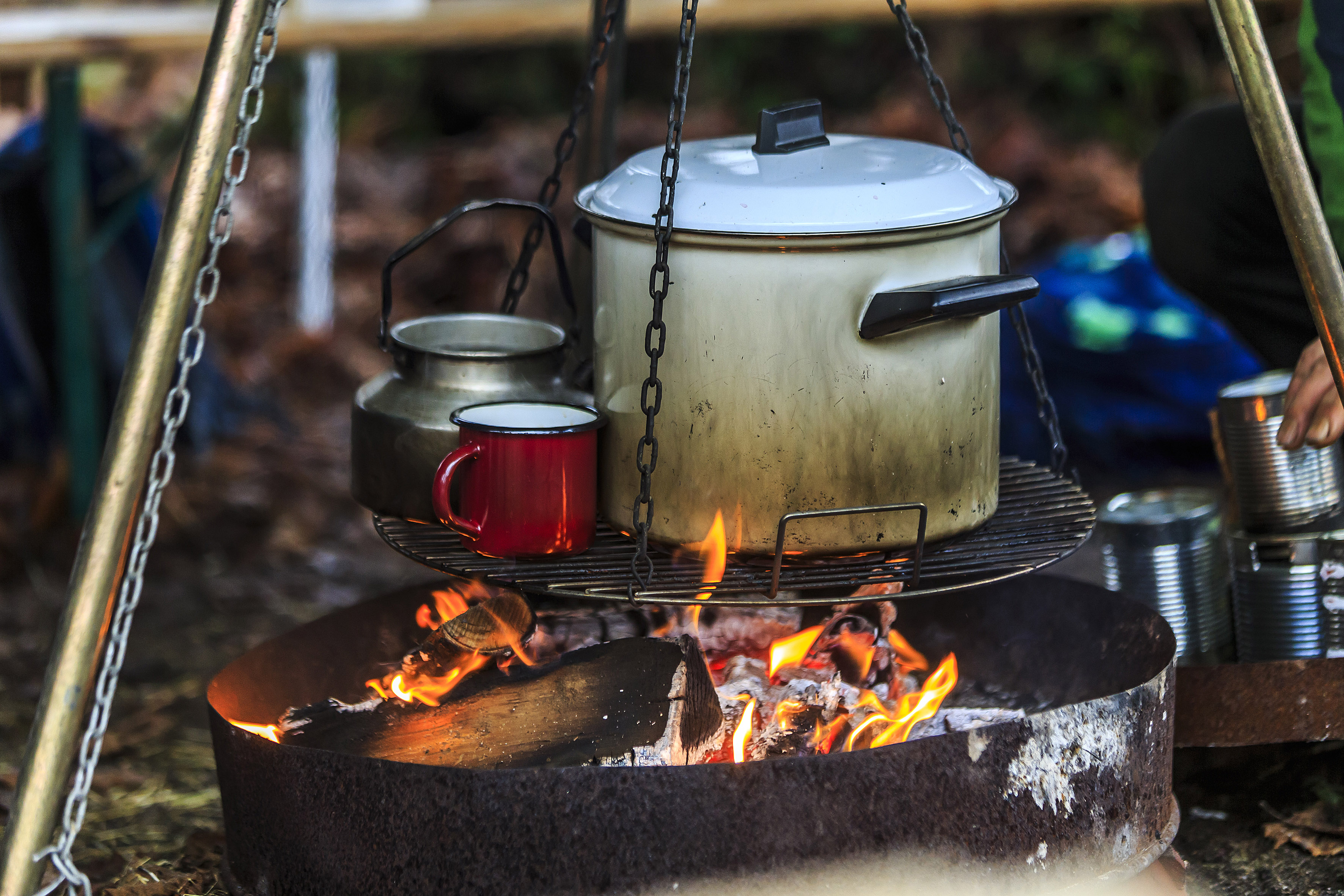 Ferienwoche kompakt –Bushcraft, wilde Küche und nachhaltiger Konsum (1. Ferienwoche)
