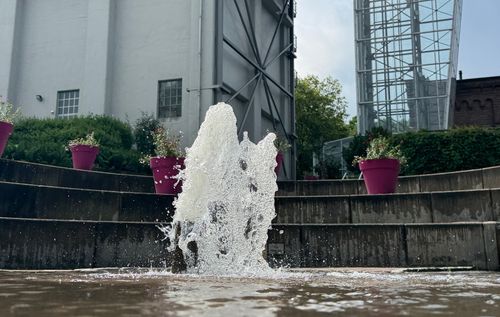Tag der Gärten und Parks in Westfalen-Lippe | 13. und 14. Juni | Fokus: Wertvolles Wasser | Aktionen zum Thema
