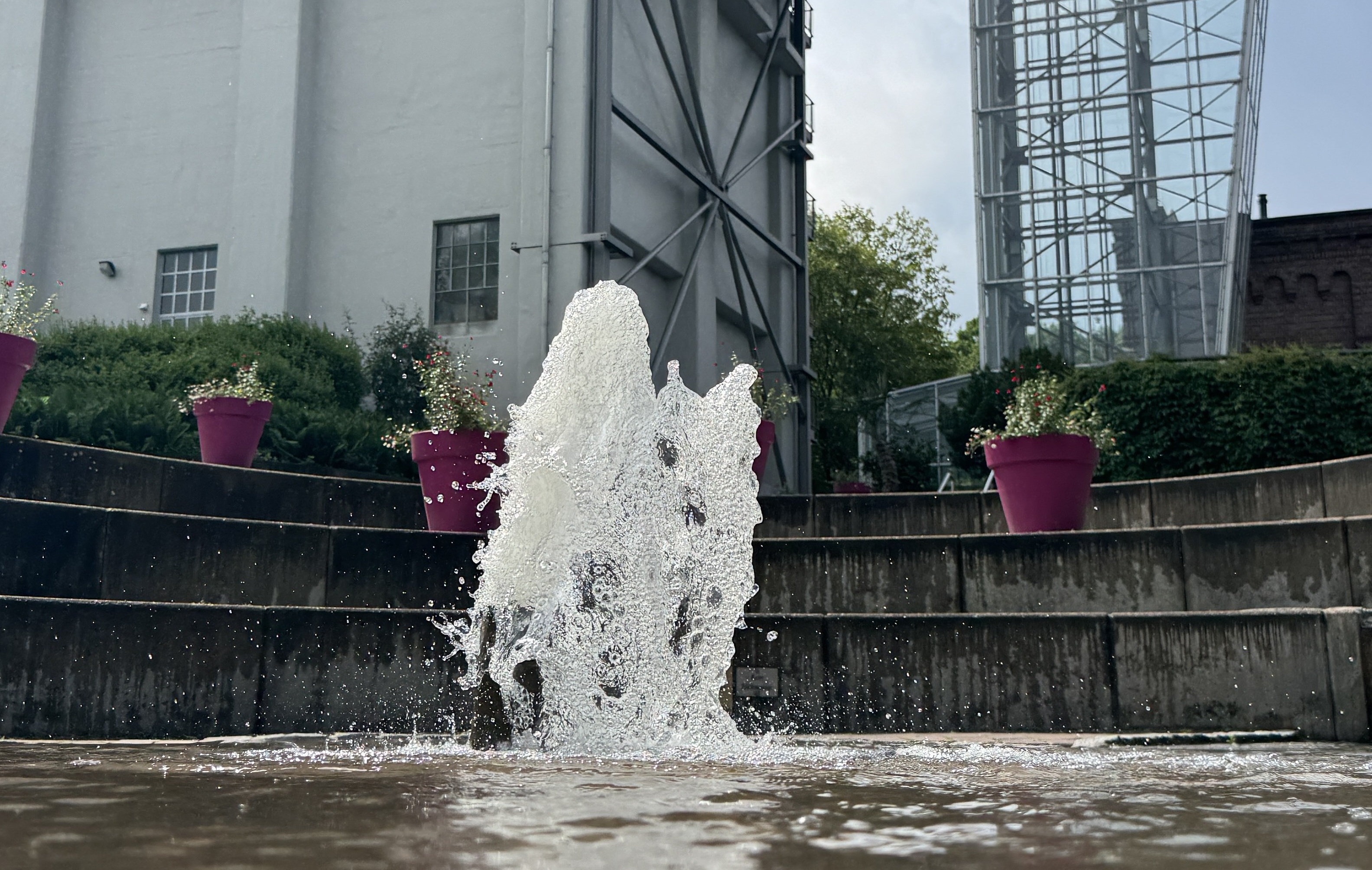 Tag der Gärten und Parks in Westfalen-Lippe | 13. und 14. Juni | Fokus: Wertvolles Wasser |  Aktionen zum Thema