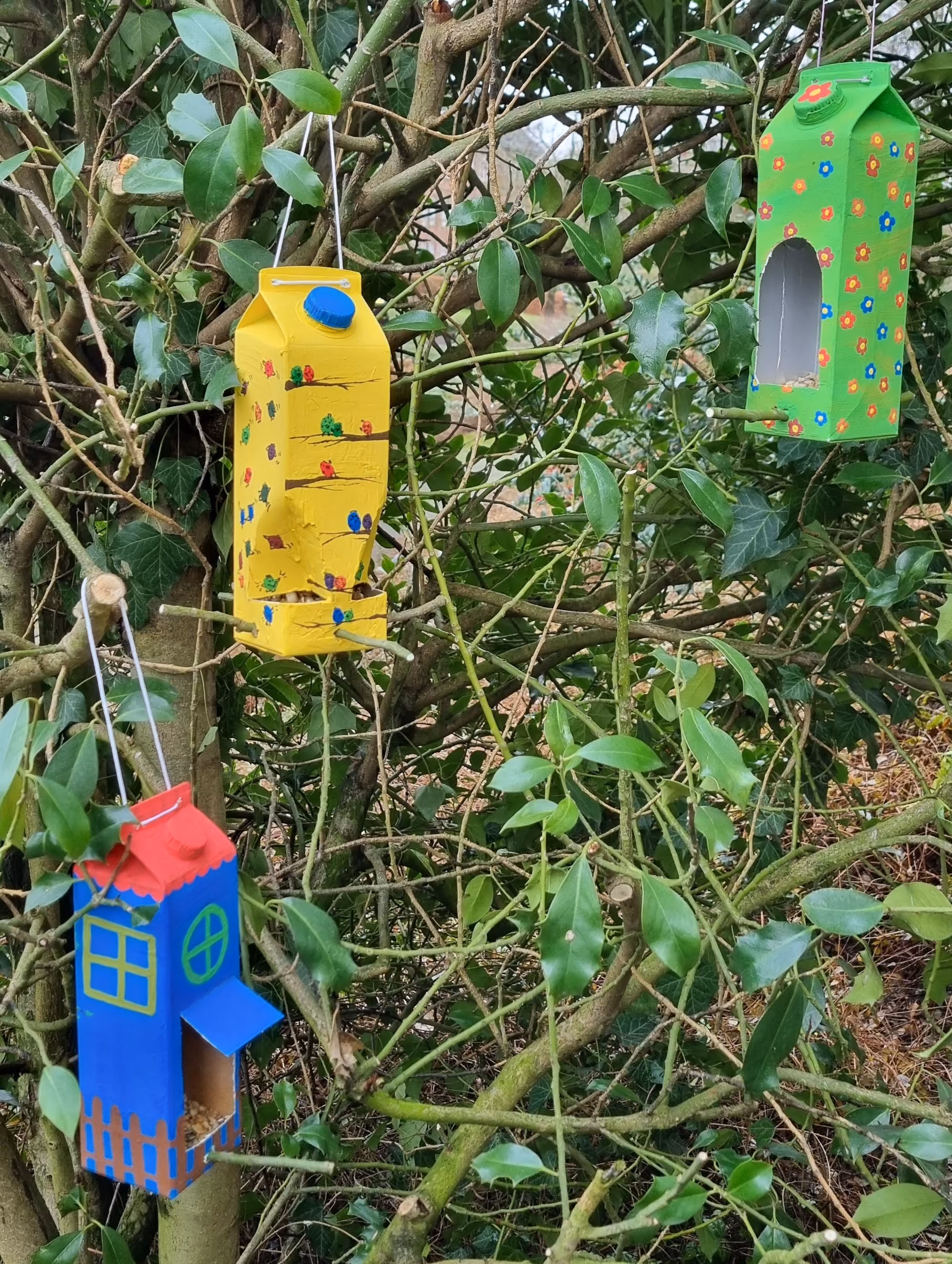 Upcycling-Workshop: Kreative Futterhäuschen & gesundes Vogelfutter selbst gemacht (BNE)