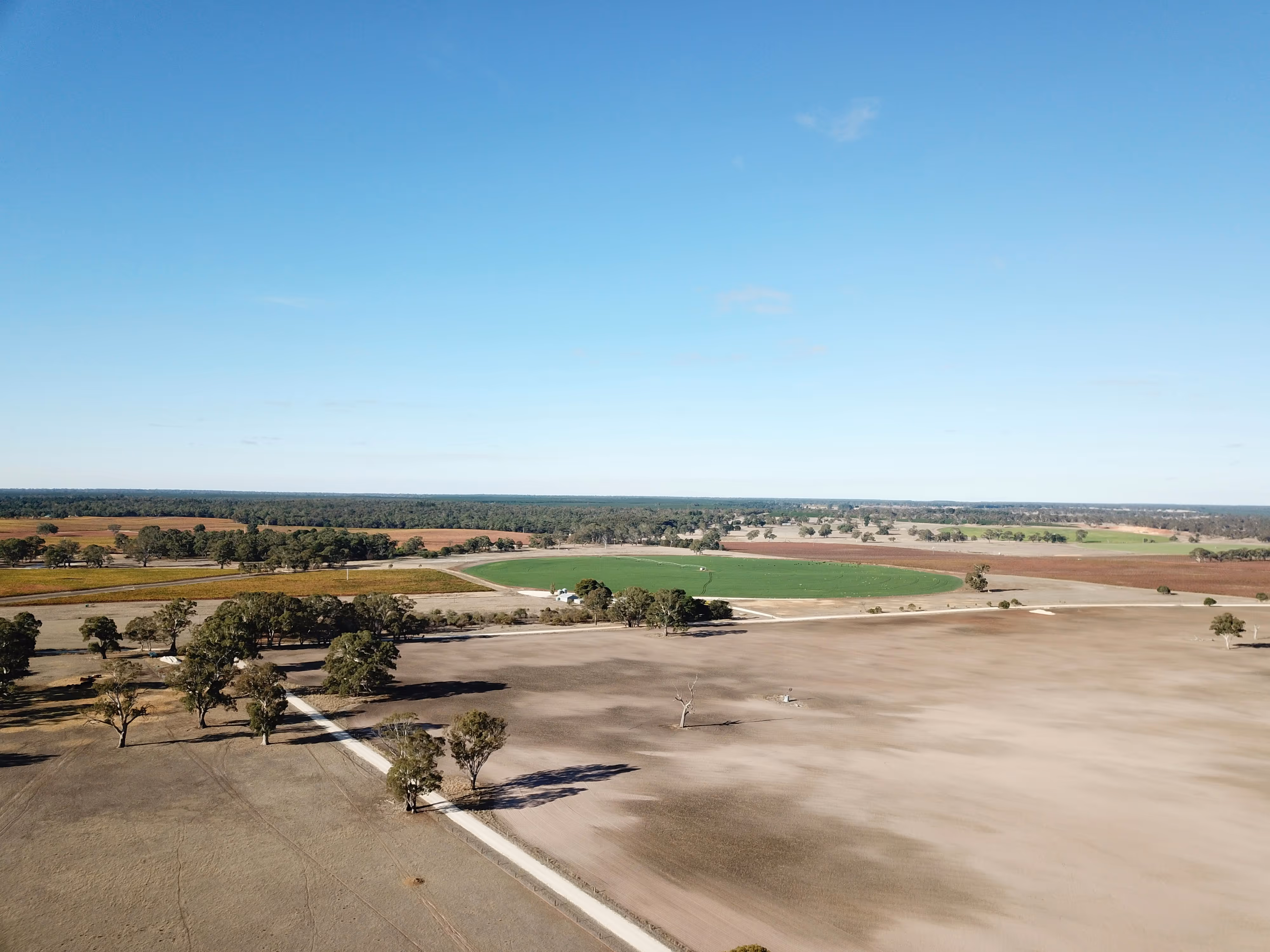 Aerial view of a large dry agricultural field with scattered trees and a circular green irrigated crop area under a clear blue sky.