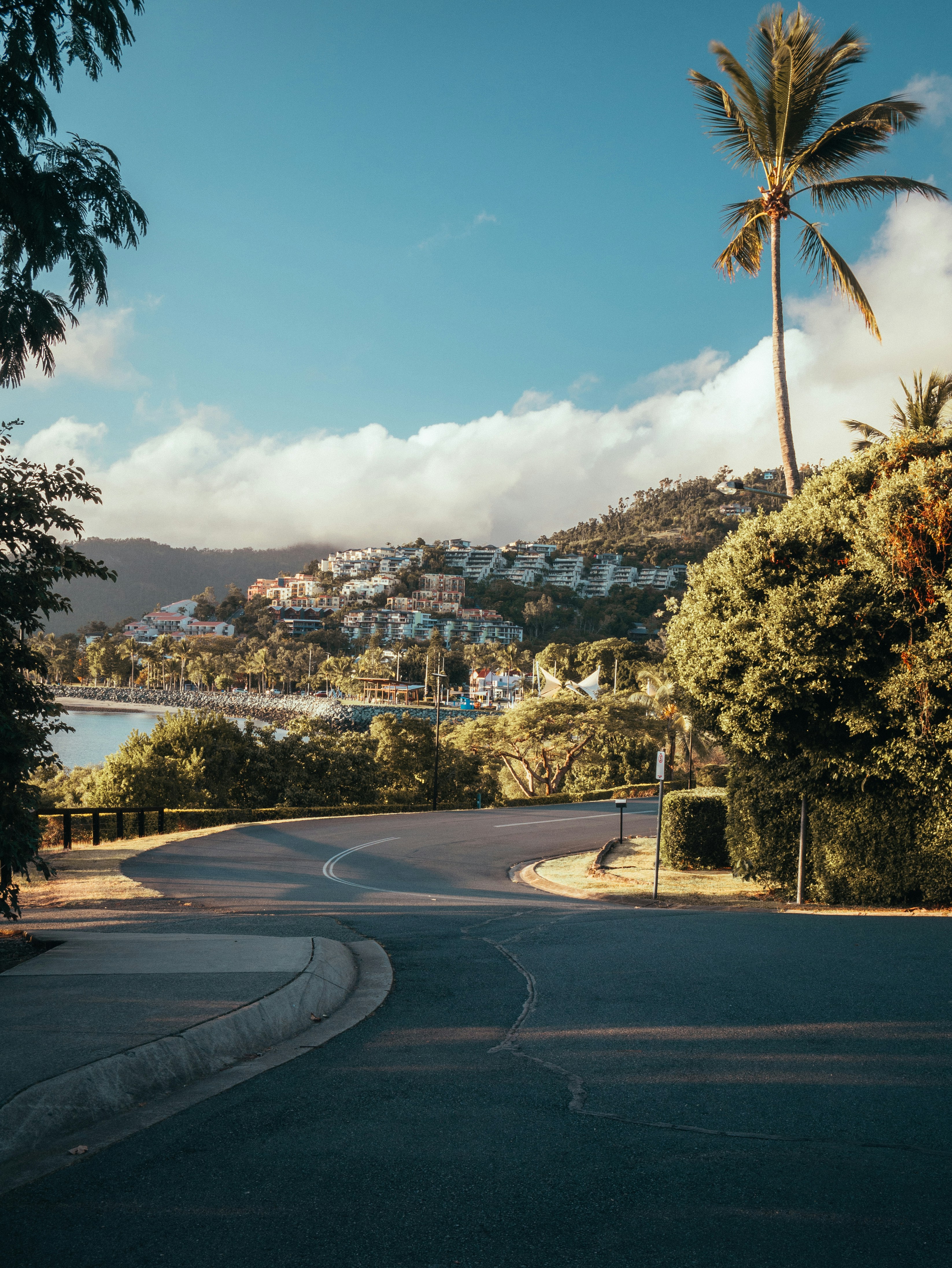 Curved road along a coastal area with palm trees, greenery, and hillside residential buildings under a clear blue sky.