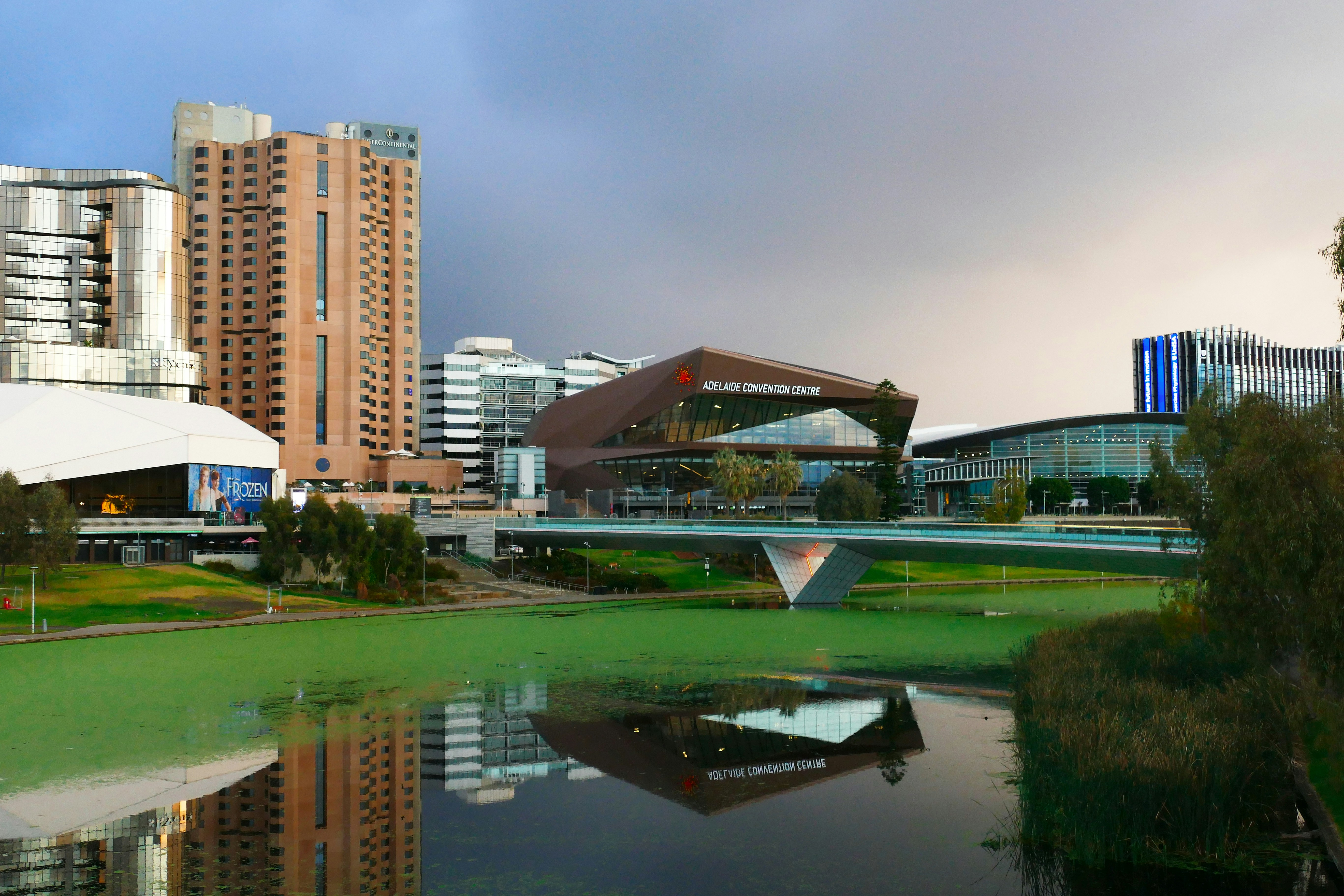 View of Adelaide Convention Centre and surrounding buildings reflecting on the Torrens River with green water surface and a bridge.