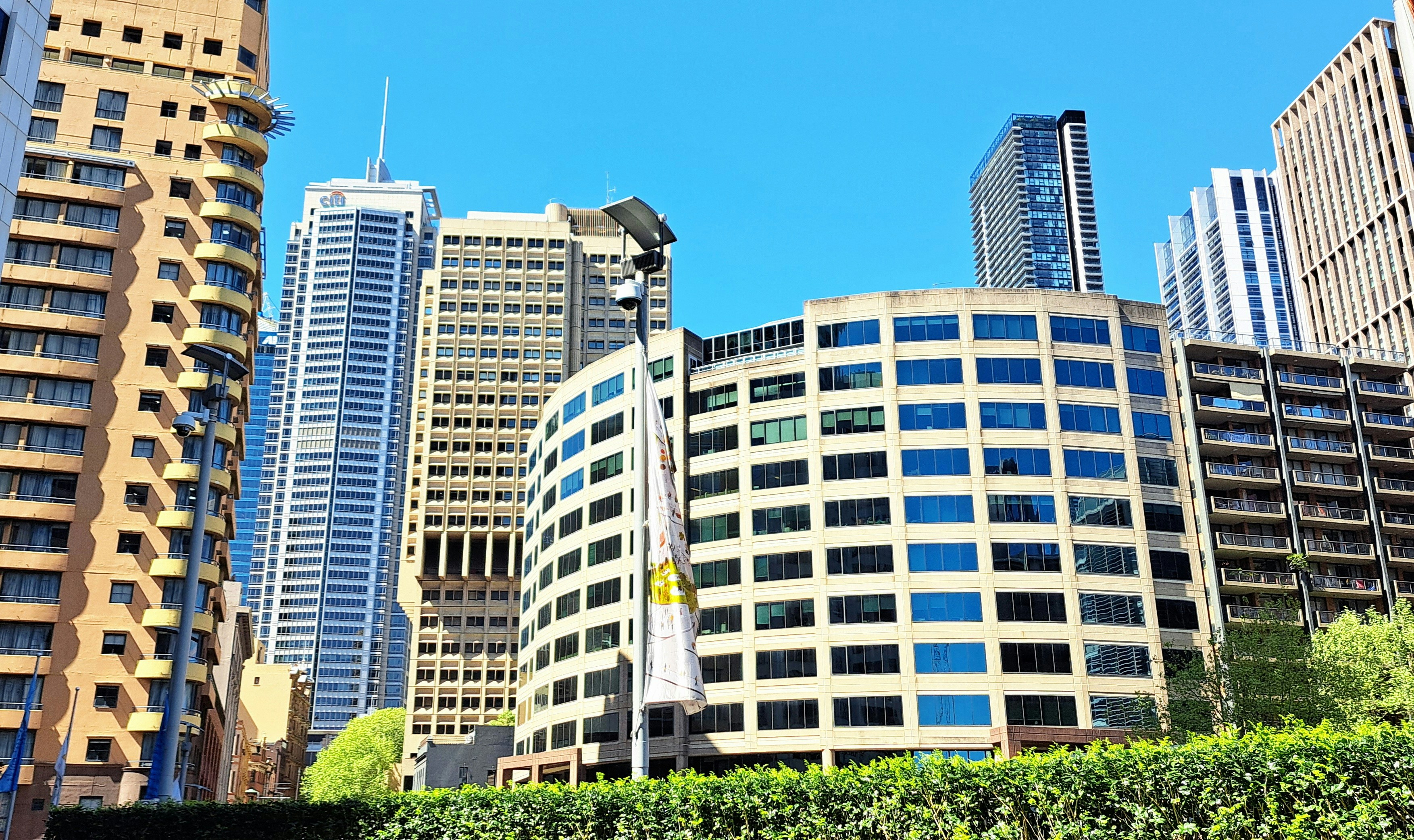 Cityscape of modern high-rise buildings with reflective windows under a clear blue sky and green shrubbery in the foreground.
