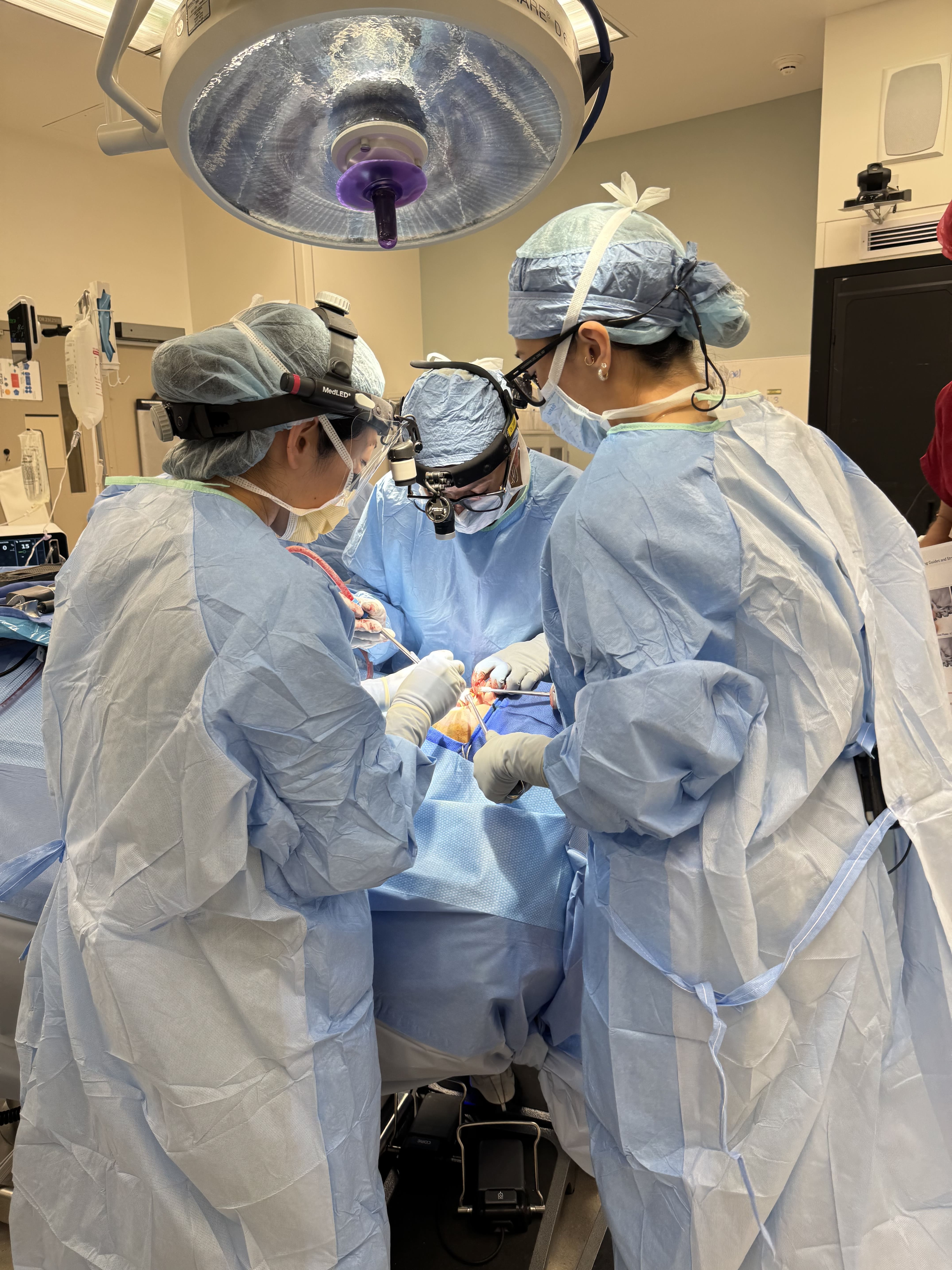Dr. Gloria Luong Working on Patient