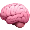Illustration of a human brain in pink viewed from the side.