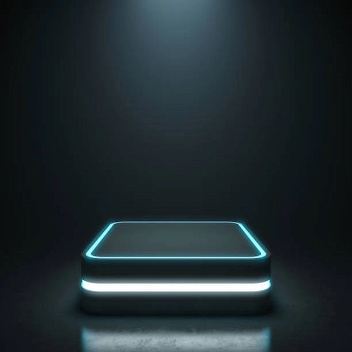 Project Details Small Image 2