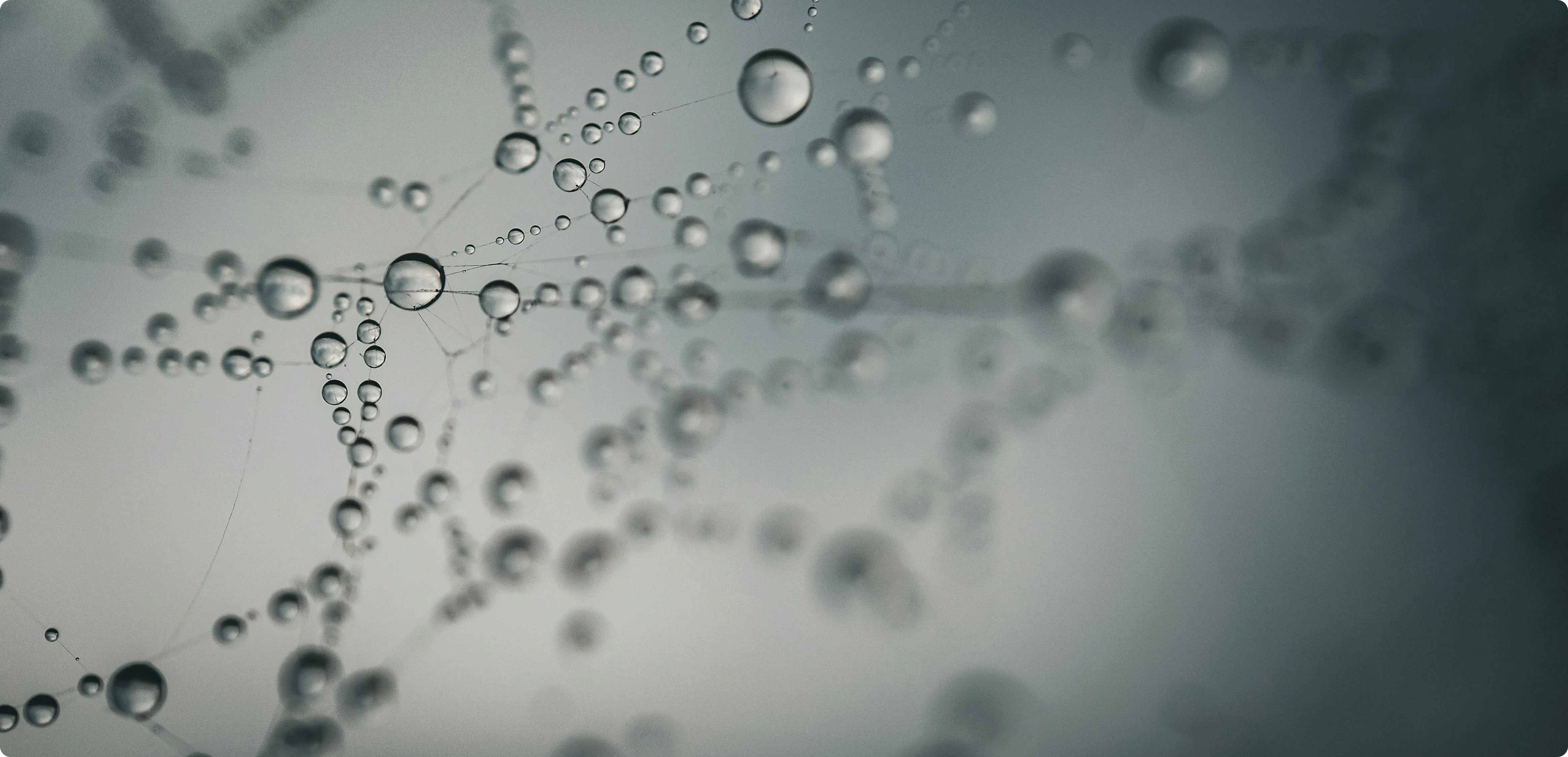 Project Details Bottom Image