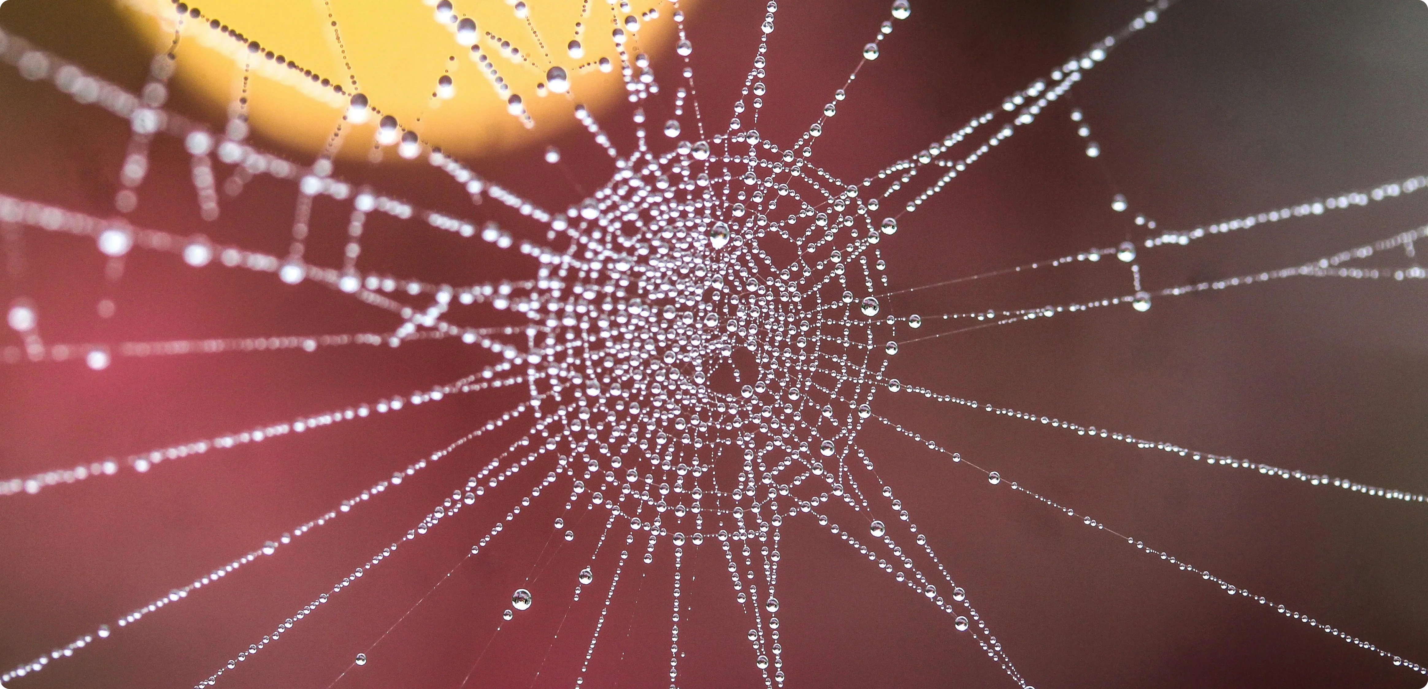 Project Details Bottom Image 