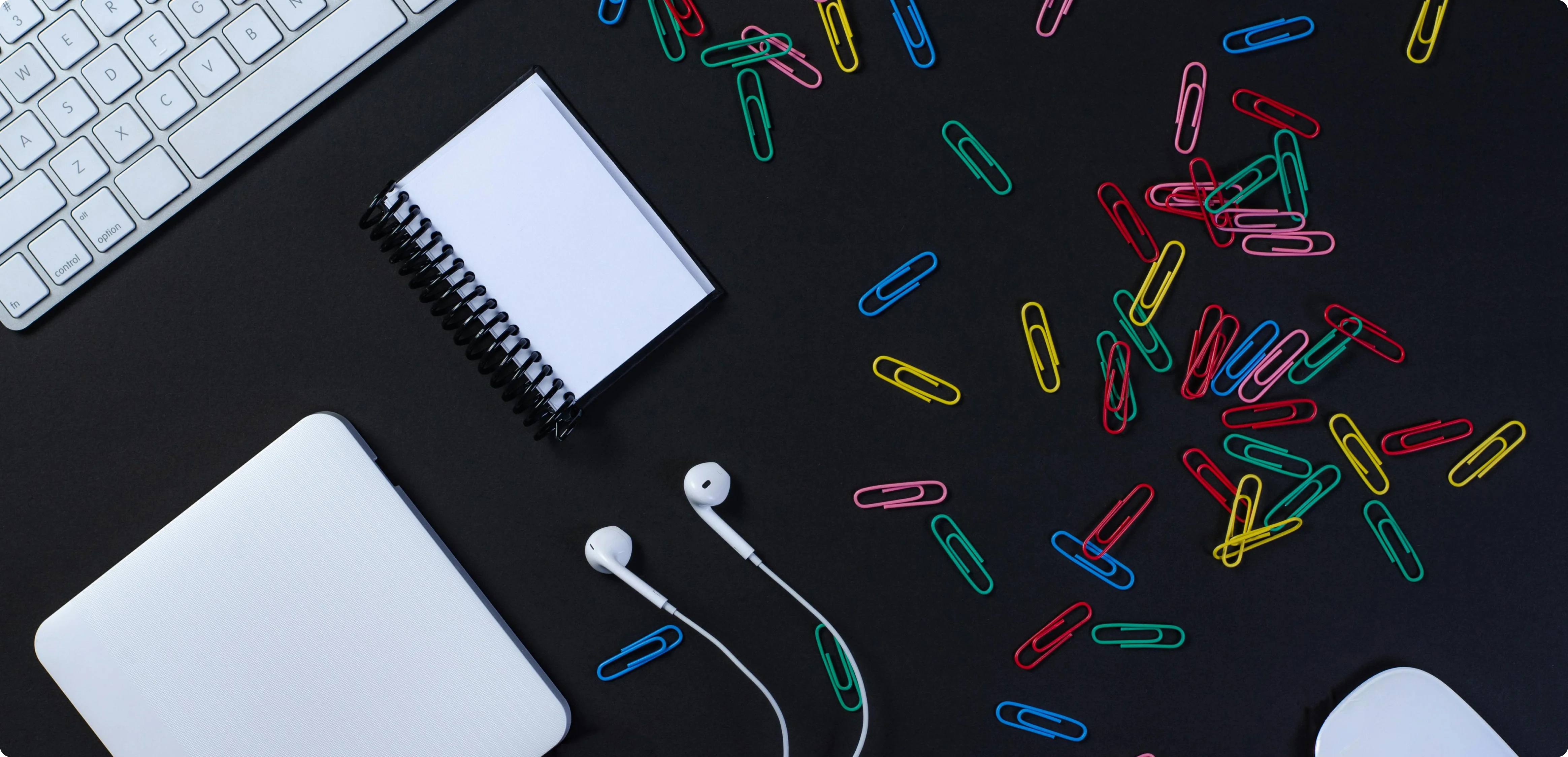 Project Details Bottom Image 