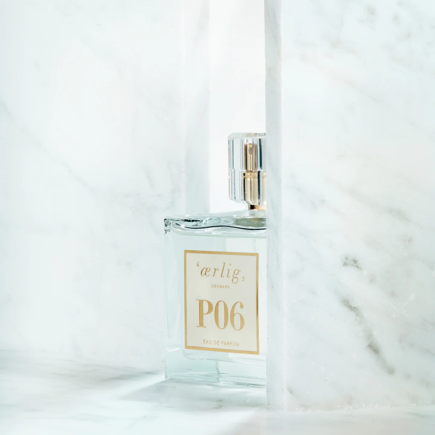 Project Details Small Image 1